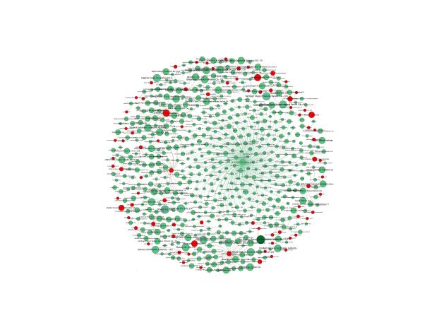 A circle composed of many small red and green circles connected to one another with lines.