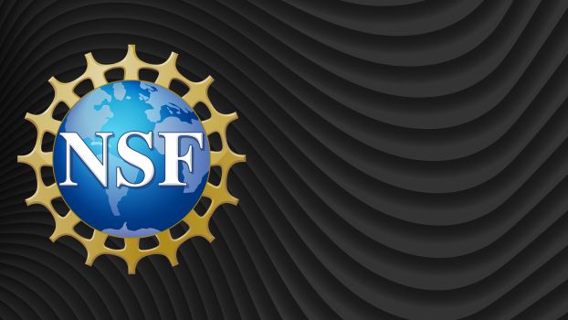 NSF virtual background