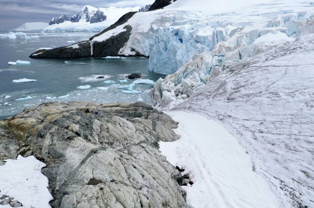 Previously ice-entombed dead black moss exposed on rocks along Cape Rasmussen on the Antarctic Peninsula