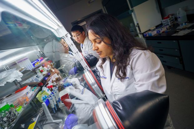 Engineering students fabricate and test a structural supercapacitor