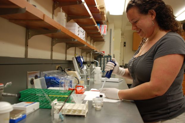 From the field to the lab, disease ecologists are discovering where and how Lyme disease happens.