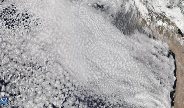 Shallow clouds formed by fine-scale eddies as observed in nature.