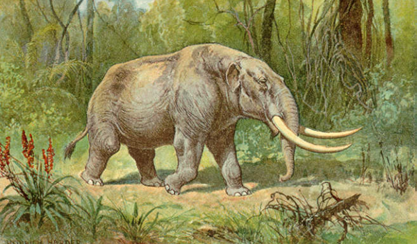 A mastodon tusk revealed the first evidence of one extinct animal's annual migration.