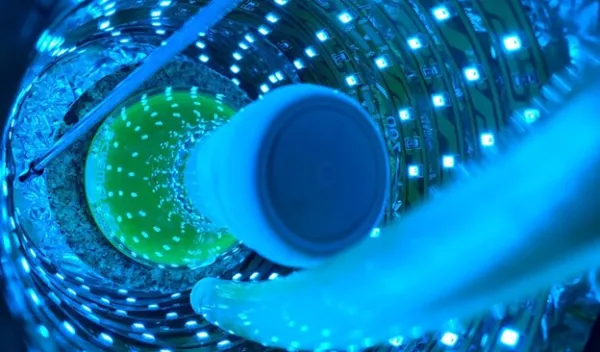 photoredox catalysts 