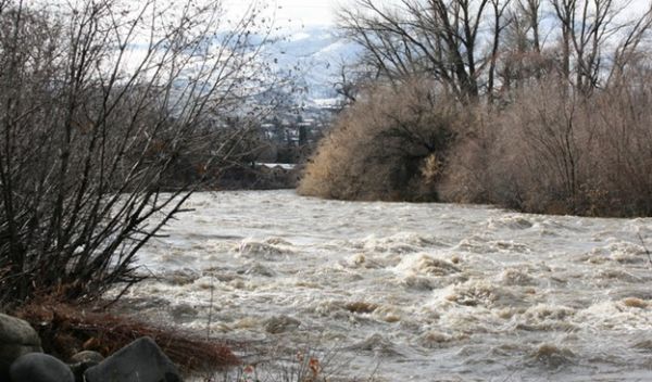Uncertainties in flood risk estimates