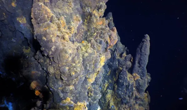 Hydrothermal vent