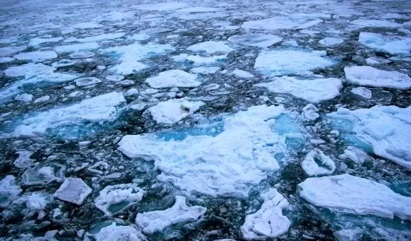 arctic ice