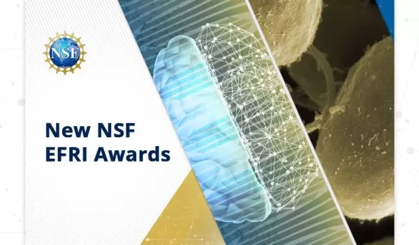 banner for New NSF EFRI Awards with image of abstract brain