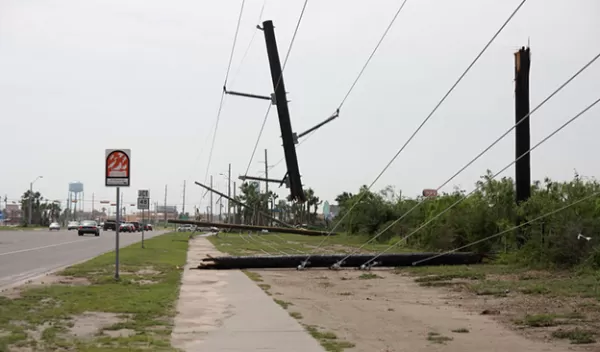 felled power lines