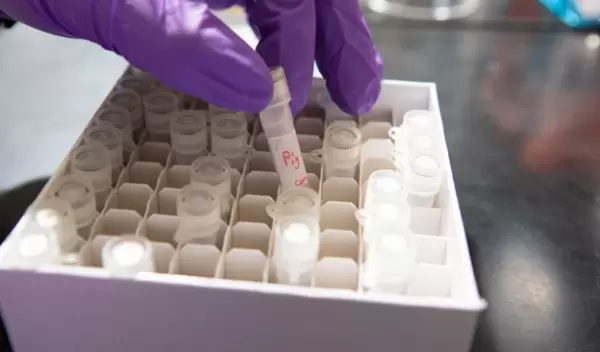 Vials of saliva collected from various mammals, including a pig.