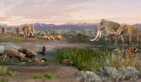 prehistoric illustration with dinosaurs