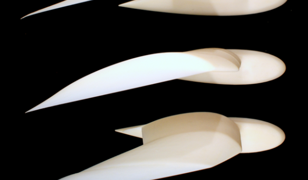 model of wings