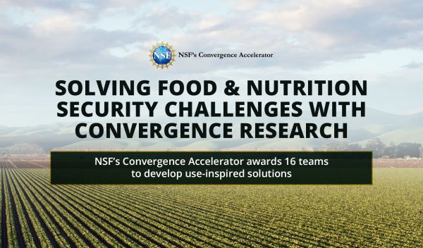 banner image of a cropping field to promote NSF's Convergence Accelerator awards 16 teams to develop use-inspired solutions