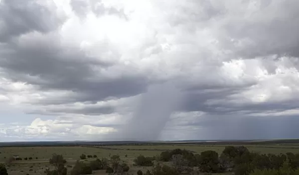 Rainstorm on grassy horizon