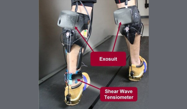 exosuit attached to person's calves