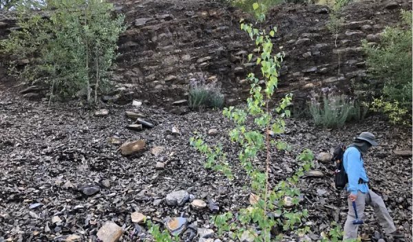 person walking on rocks