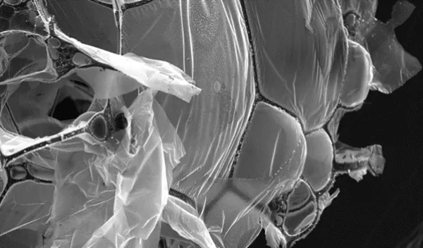 Structure of an aerogel is formed by graphene sheets stretched across carbon fiber networks.