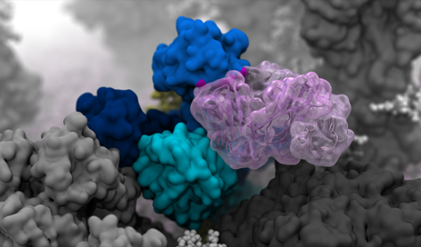 H1N1 glycoproteins.
