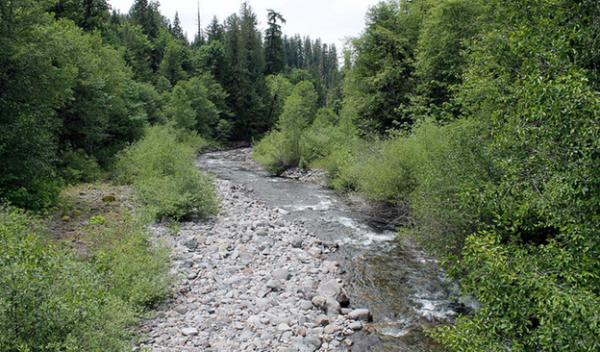 Lookout Creek in Oregon's H.J. Andrews Experimental Forest