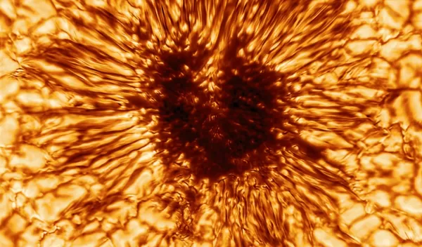 close up of a sun spot