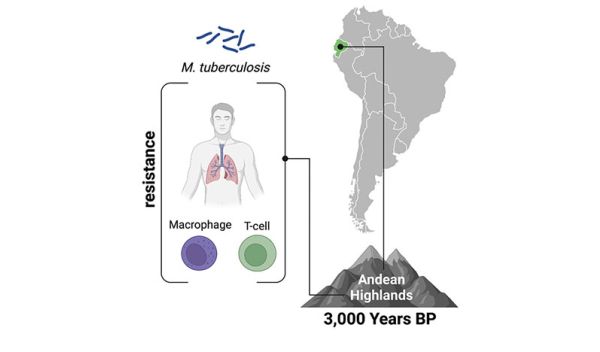 Indigenous populations in present-day Ecuador adapted to TB long before the arrival of Europeans.