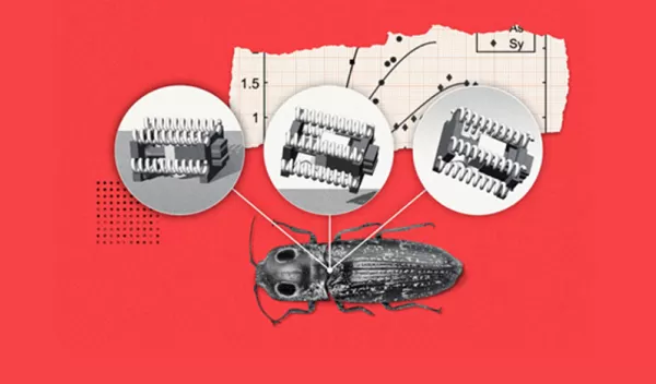 graphic of beetle robots