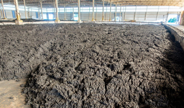 Microbes play a key role in unleashing ‘forever chemicals’ from recycled-waste fertilizer | News24.ph