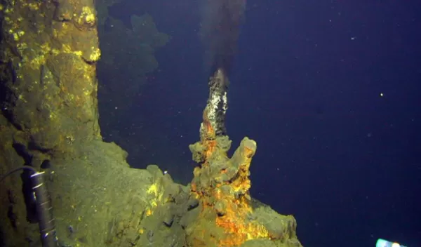 High-temperature venting on the caldera wall of Brothers Volcano produces black smoker chimneys.