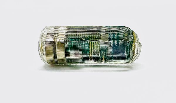 Smart pills to help diagnose gut disorders  | News24.ph