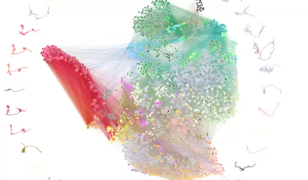 A diagram depicting brain connectivity, where neurons are represented as points.