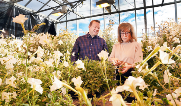 two scientists in a petunia garden