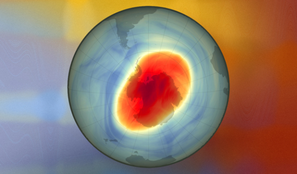 Smoke particles from wildfires can erode the ozone layer | News24.ph