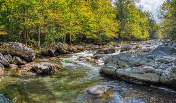 A newly developed tool enables citizen scientists to diagnose the health of America's streams.