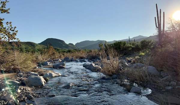 Sycamore Creek in Arizona is one of the most extensively studied desert streams in the world.