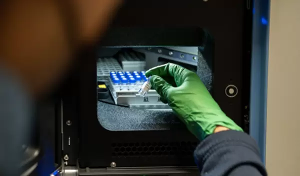 Scientists have discovered that chronically low oxygen levels rewire how mice burn sugars and fats.