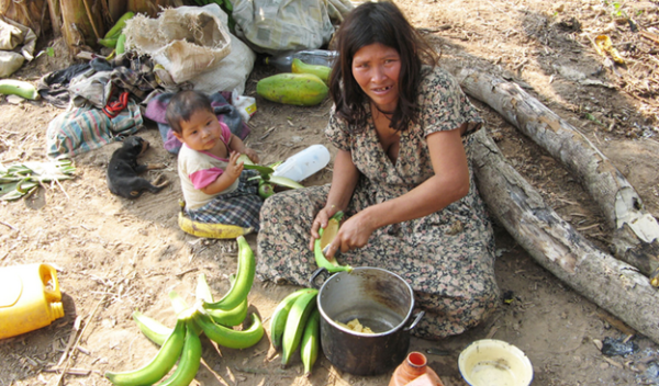 The Tsimané have some of the lowest rates of heart and brain disease in the world.