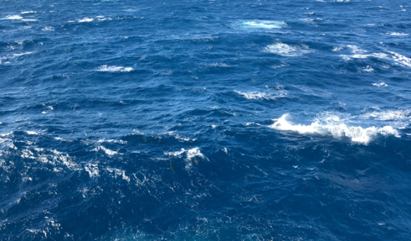 ocean waves