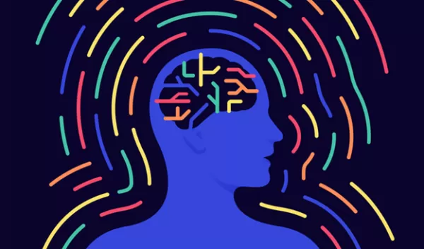 A new study reveals that a connection between the body and mind is built into the structure of the brain.