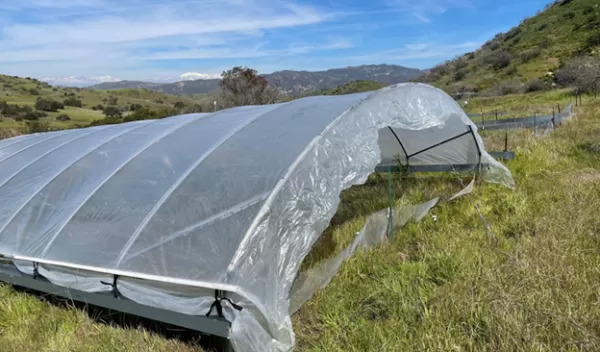 Structure built to reduce rainfall at the Loma Ridge Global Change Experiment in Irvine, California.
