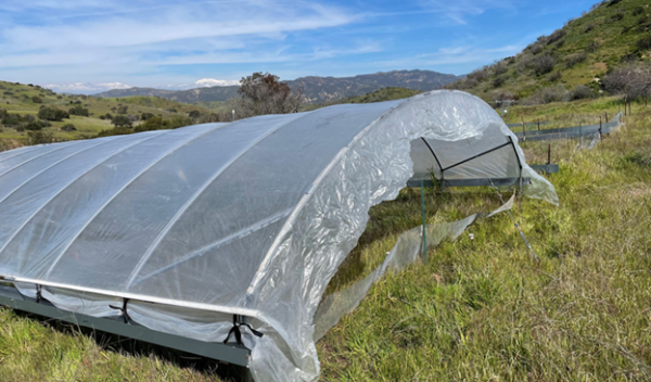 Structure built to reduce rainfall at the Loma Ridge Global Change Experiment in Irvine, California.