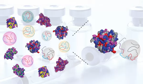 Polymer scientists are creating artificial fluids that mimic many of the properties of natural proteins.