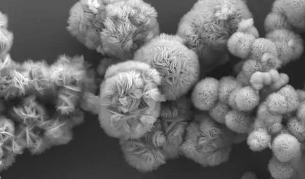 A scanning electron microscopy image reveals the beautiful shapes of MXenes, of interest to scientists for new devices and electronics.