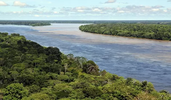 Researchers have found that protected forests preserve the equivalent of one year of global fossil fuel emissions.