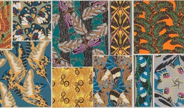 illustration of moths