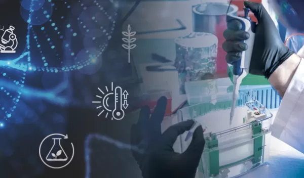 Rules of Life banner