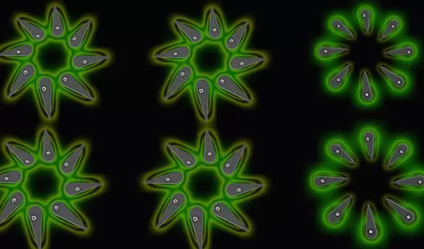A new platform enables researchers to "grow" halide perovskite nanocrystals with precise control.