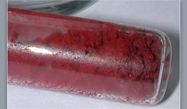 Researchers are studying the sustainability of phosphorus use.