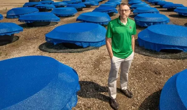 Researchers have found that removing vegetation at water access points near Senegalese villages reduced rates of schistosomiasis.