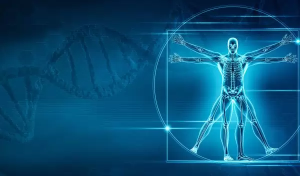 A new study has pinpointed the genes that shape our skeletons.