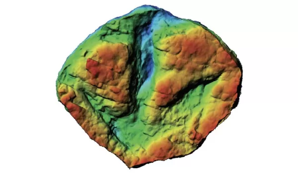 A single large meat-eating dinosaur track, likely from a tyrannosaur, at the study site.